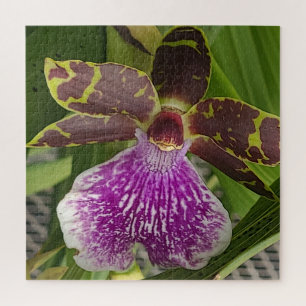 Purple Orchid Close Up Photo   Elegant Nature Jigsaw Puzzle