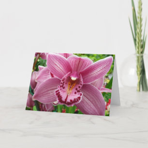 Purple Orchid Elegant Floral Card