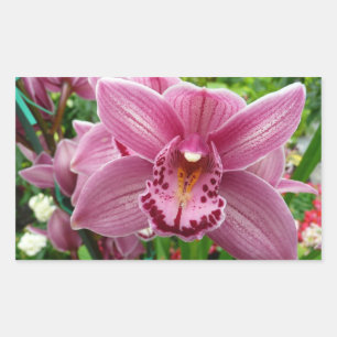 Purple Orchid Elegant Floral Rectangular Sticker
