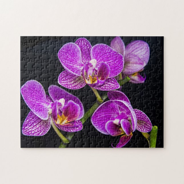 Purple orchid jigsaw puzzle (Horizontal)