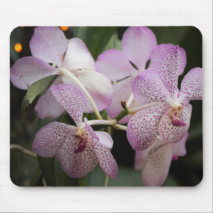 Purple Orchid Mousepad II