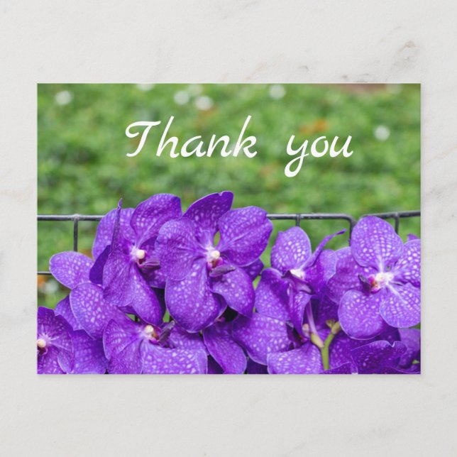 Purple orchid on green grass thank you  postcard (Front)