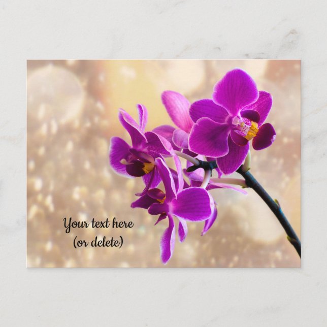 Purple Orchid Postcard (Front)
