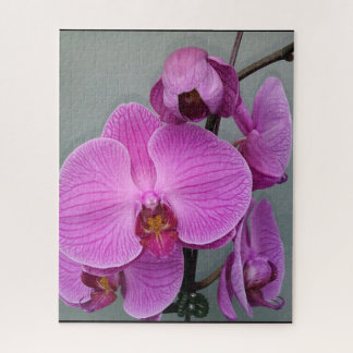 PURPLE ORCHID puzzle