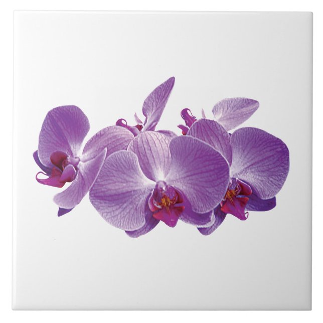 Purple Orchid Trio Tile (Front)