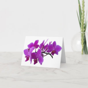 Purple Orchids Blank card
