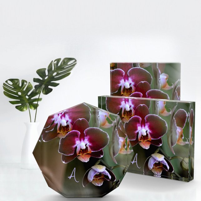 Purple Orchids Botanical Photographic Monogrammed Photo Block (Creator Uploaded)