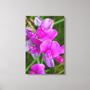 Purple Orchids Canvas Print
