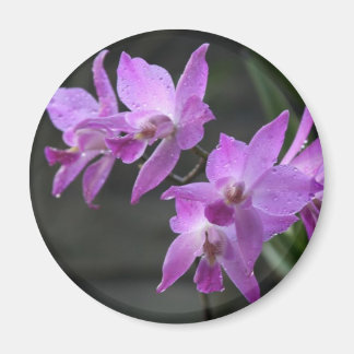 Purple Orchids Magnet