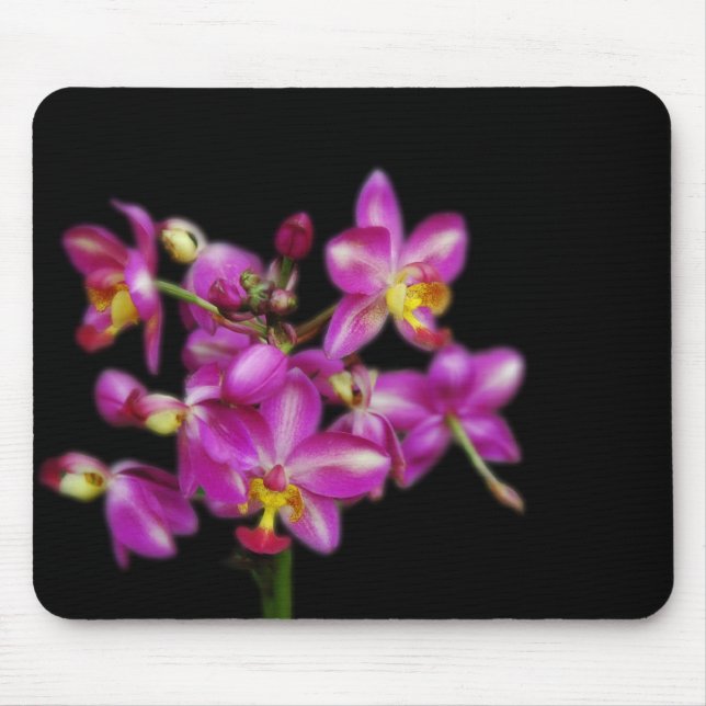 Purple orchids on Black background Mouse Pad (Front)
