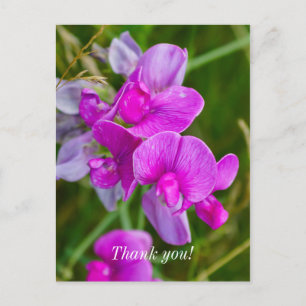 Purple Orchids Thank You Postcard