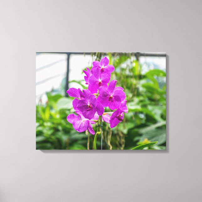 Purple orchids view canvas print (Front)