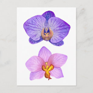 Purple Orchids Watercolor Postcard