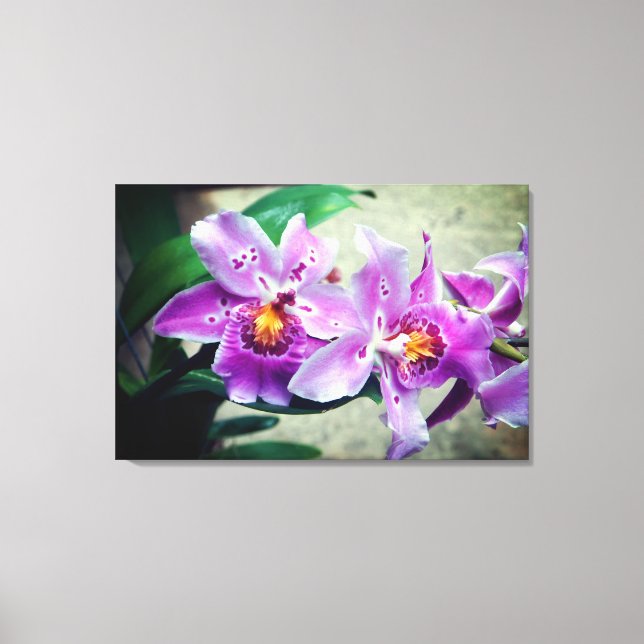 Purple Orchids Wrapped Canvas Print (Front)