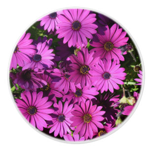 Purple Osteospermum Flowers Ceramic Knob