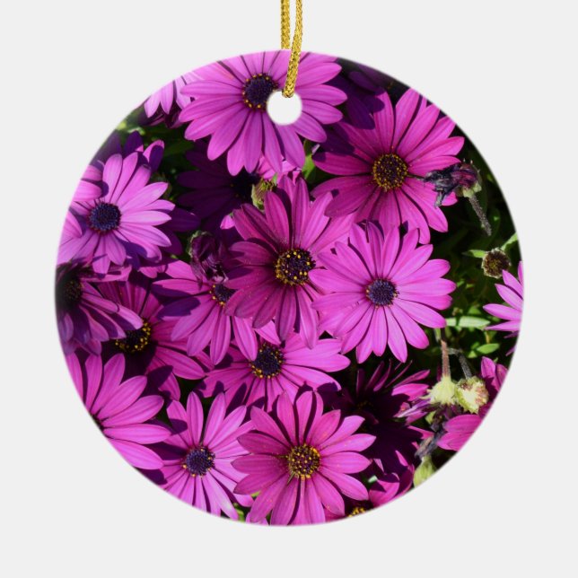 Purple Osteospermum Flowers Ceramic Tree Decoration (Front)