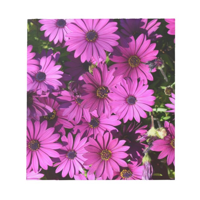 Purple Osteospermum Flowers Notepad (Front)