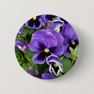purple pansies 6 cm round badge