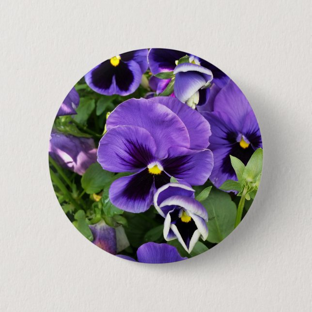 purple pansies 6 cm round badge (Front)