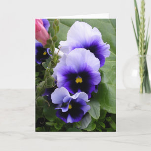 Purple Pansies Card