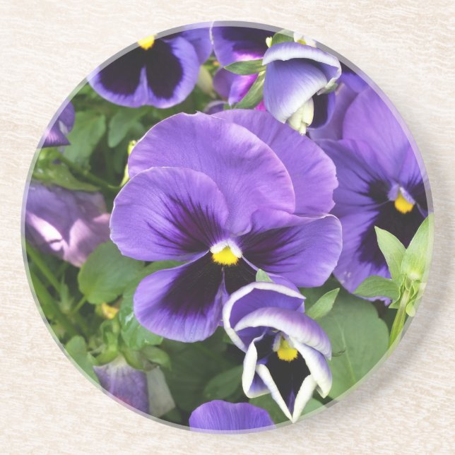 purple pansies coaster (Front)