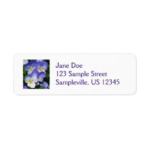 Purple Pansies Garden Floral