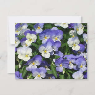 Purple Pansies Garden Floral