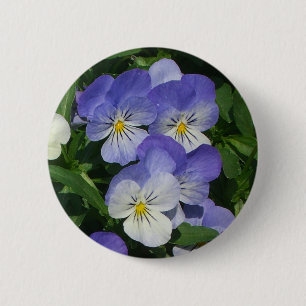 Purple Pansies Garden Floral 6 Cm Round Badge