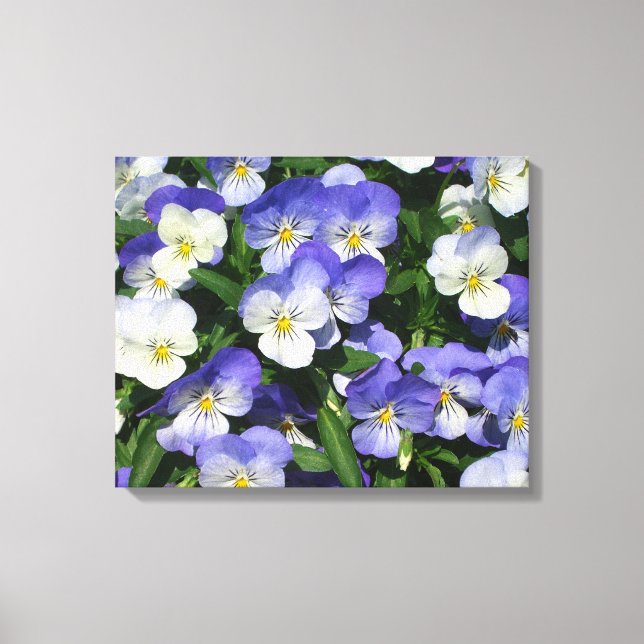 Purple Pansies Garden Floral Canvas Print (Front)