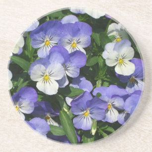 Purple Pansies Garden Floral Coaster