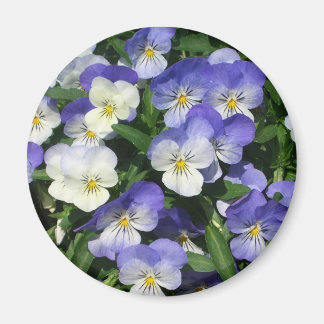 Purple Pansies Garden Floral Magnet