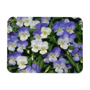 Purple Pansies Garden Floral Magnet