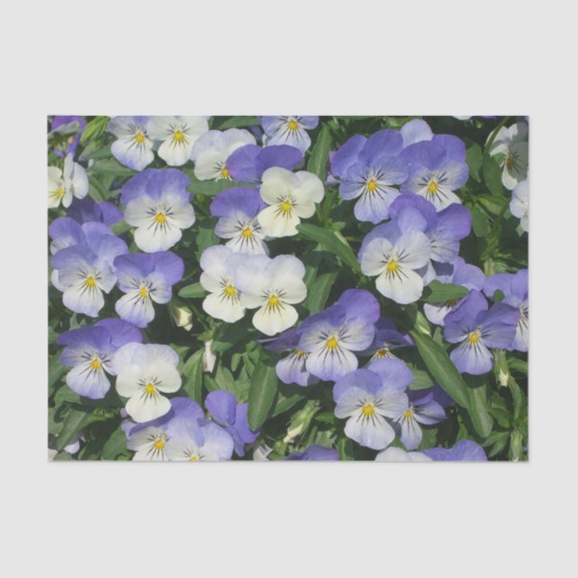 Purple Pansies Garden Floral Tissue Paper (Front)