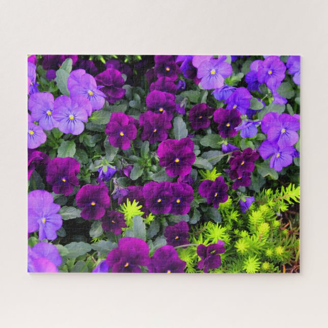 Purple Pansies Jigsaw Puzzle (Horizontal)