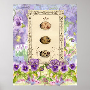 Purple Pansy Bird Eggs Watercolor Collage Art Poster