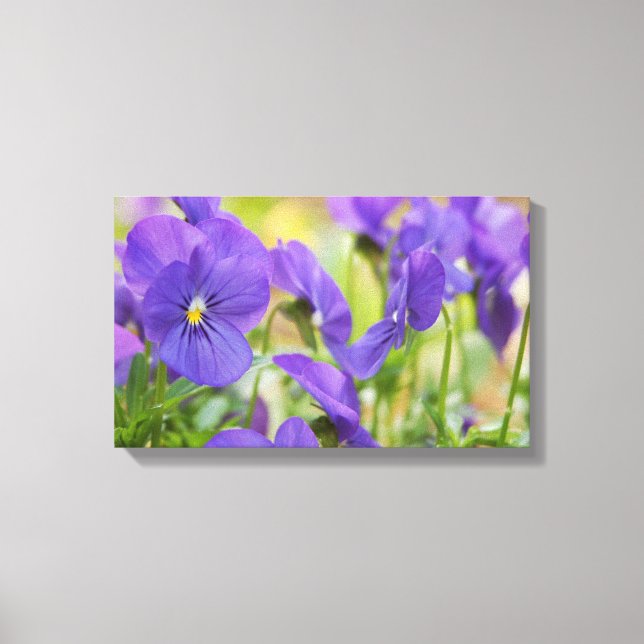 Purple Pansy Canvas Art (Front)