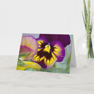Purple Pansy Card