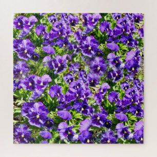 Purple Pansy Field, Jigsaw Puzzle