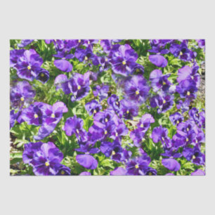 Purple Pansy Field, Tissue Paper