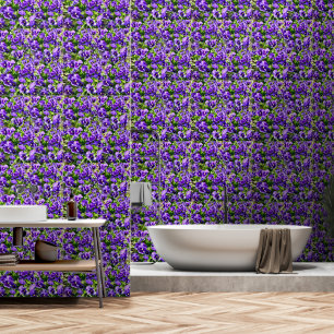 Purple Pansy Field, Wallpaper