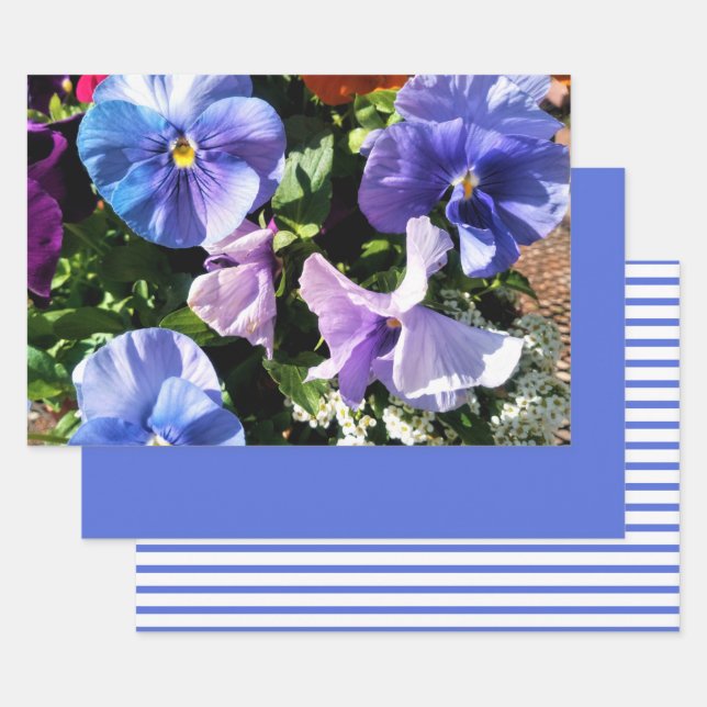 Purple Pansy Flowers Stripes and Solid  Wrapping Paper Sheet (Set)