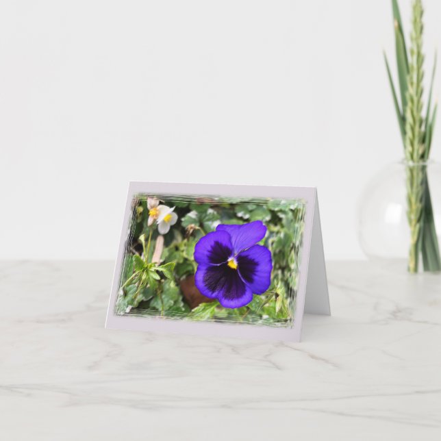 Purple pansy holiday card (Front)