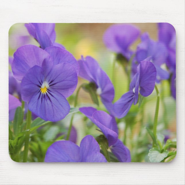 Purple Pansy Mouse Pad (Front)
