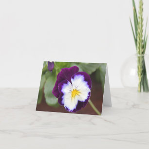 Purple Pansy Note Cards, blank inside Card
