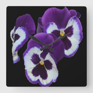 Purple Pansy Portrait, Square Wall Clock