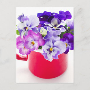 purple pansy postcard