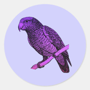 Purple Parrot Classic Round Sticker