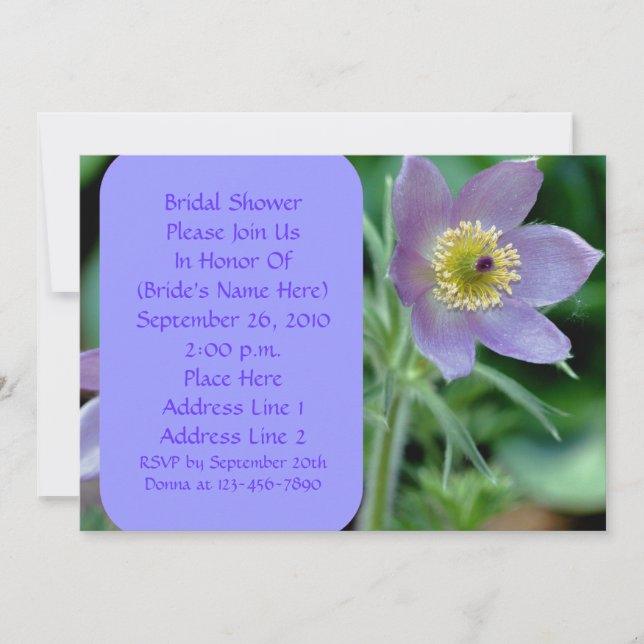 Purple Pasque Flower Bridal Shower Invitation (Front)