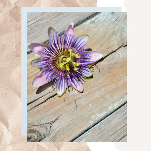 Purple Passiflora Flower Weathered Rustic paper