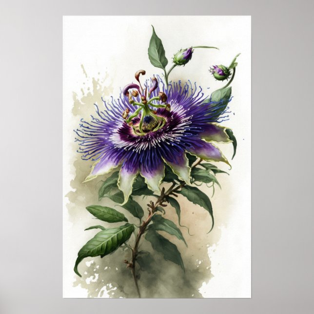 Purple Passion Flower Art Print Poster (Front)